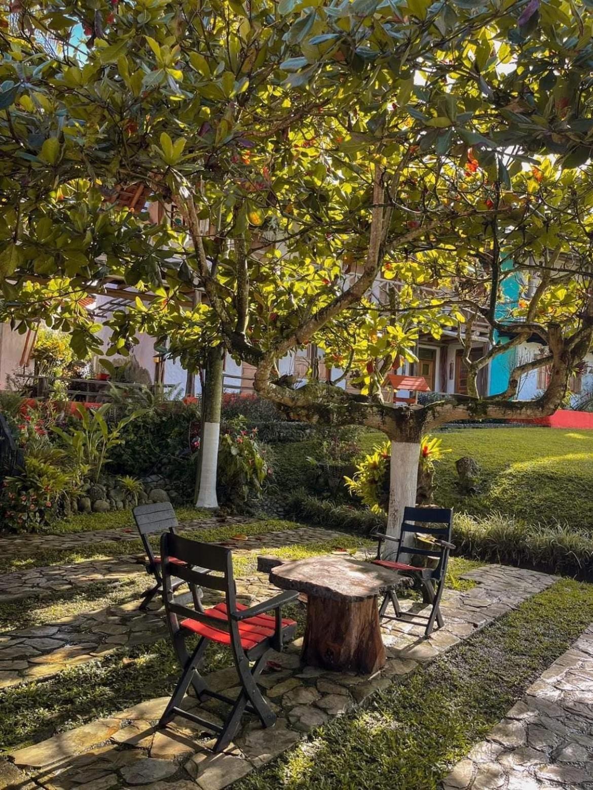 Hotel Cerca Panaca Eje Cafetero suites y cabanas Quimbaya Exterior foto